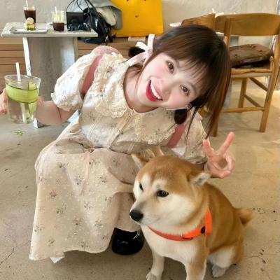 凡人歌
